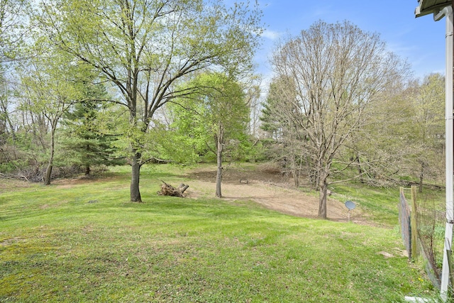 view of yard