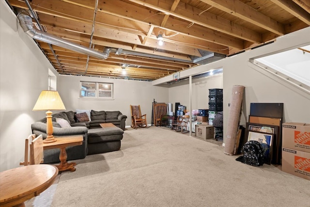 finished below grade area with carpet flooring