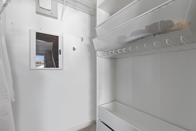 view of walk in closet