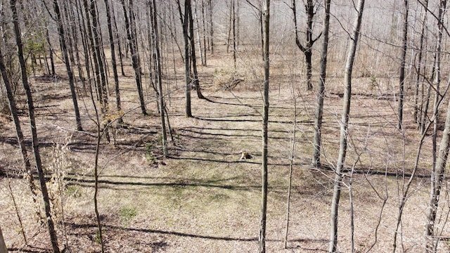 1837 9 Mile Rd, Sears, MI 49679 - view of undeveloped land