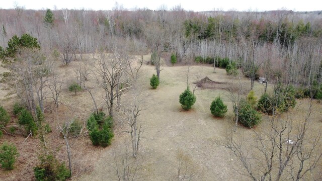 1837 9 Mile Rd, Sears, MI 49679 - bird's eye view of a forest