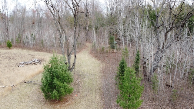 1837 9 Mile Rd, Sears, MI 49679 - aerial view of a forest