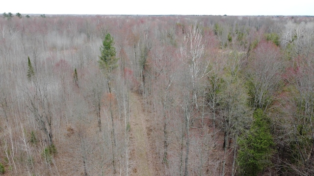 1837 9 Mile Rd, Sears, MI 49679 - drone / aerial view of a heavily wooded area