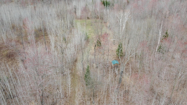 1837 9 Mile Rd, Sears, MI 49679 - bird's eye view