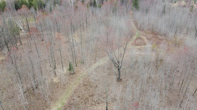 1837 9 Mile Rd, Sears, MI 49679 - aerial view