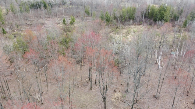 1837 9 Mile Rd, Sears, MI 49679 - aerial view