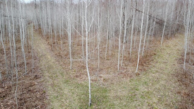 1837 9 Mile Rd, Sears, MI 49679 - view of nature