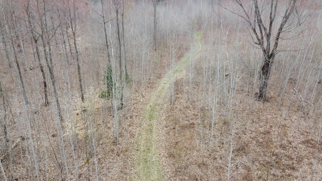 1837 9 Mile Rd, Sears, MI 49679 - view of undeveloped land