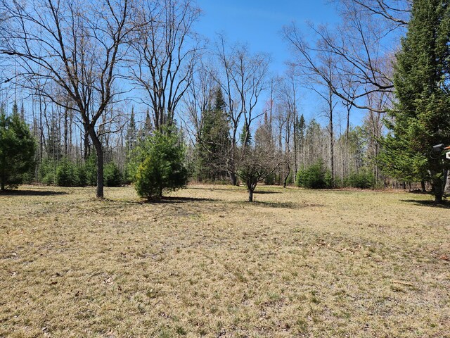 1837 9 Mile Rd, Sears, MI 49679 - view of nature