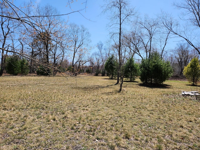 1837 9 Mile Rd, Sears, MI 49679 - view of grassy yard