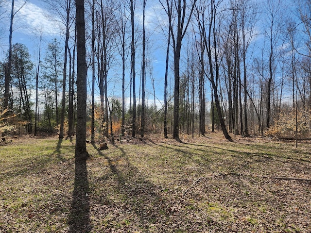1837 9 Mile Rd, Sears, MI 49679 - view of local wilderness
