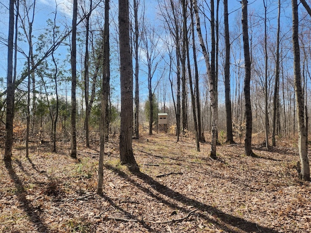 1837 9 Mile Rd, Sears, MI 49679 - view of nature