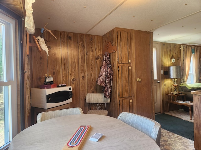 1837 9 Mile Rd, Sears, MI 49679 - dining area featuring wood walls and plenty of natural light