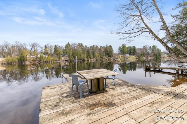 dock area with a water view