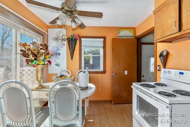 dining room featuring a ceiling fan, baseboards, and light wood-style flooring