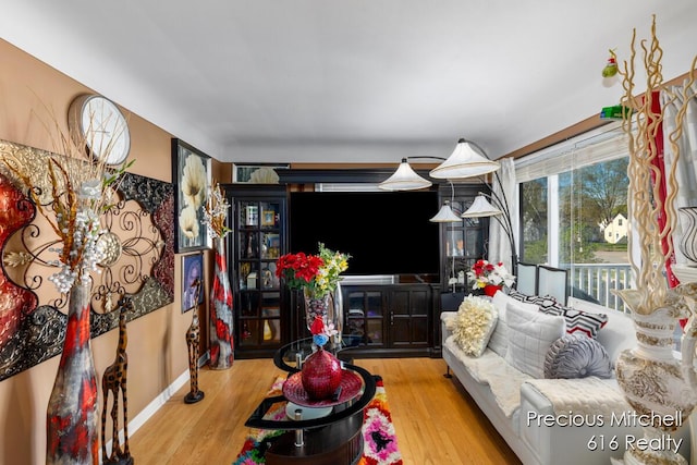living area featuring wood finished floors