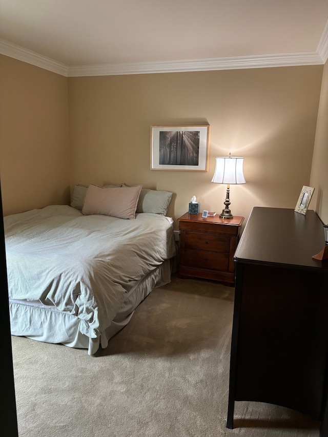 41781 Onaway Dr, Northville, MI 48167 - bedroom featuring crown molding and carpet floors