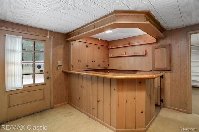 830 Jonathan Ln, Bloomfield Hills, MI 48302 - bar with light carpet and wooden walls