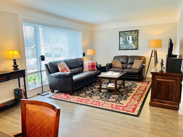 living room featuring baseboards and wood finished floors