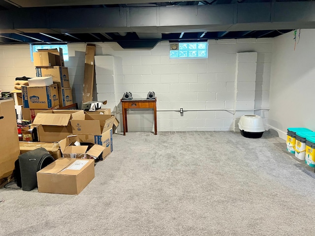 basement featuring carpet