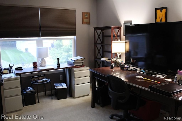 office area with light carpet