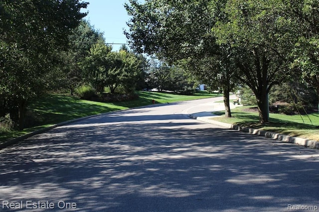 view of street with curbs