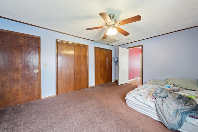 bedroom featuring visible vents, ornamental molding, two closets, ceiling fan, and carpet
