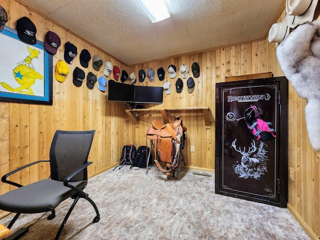 W11635 Lake St, Naubinway, MI 49762 - home office featuring carpet floors, baseboards, and wooden walls