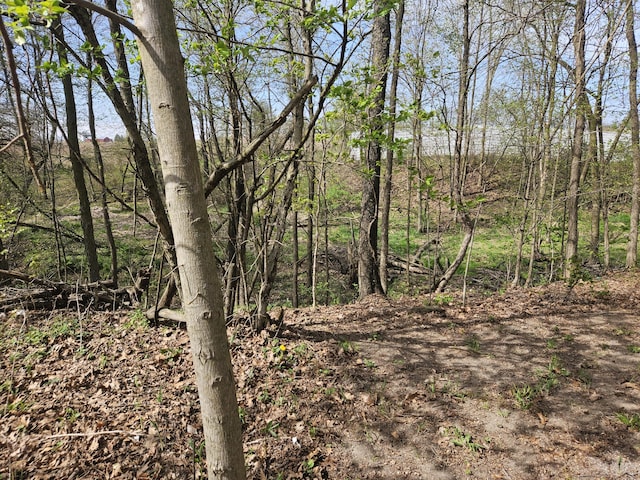 view of local wilderness