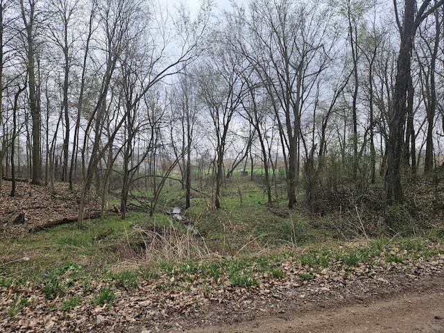 view of nature