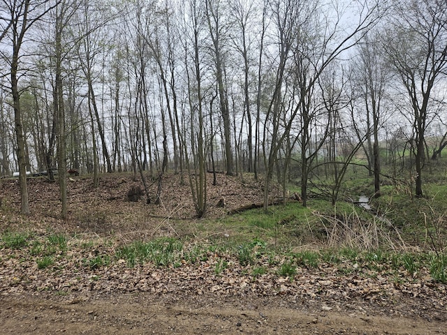 view of nature
