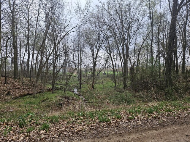 view of nature