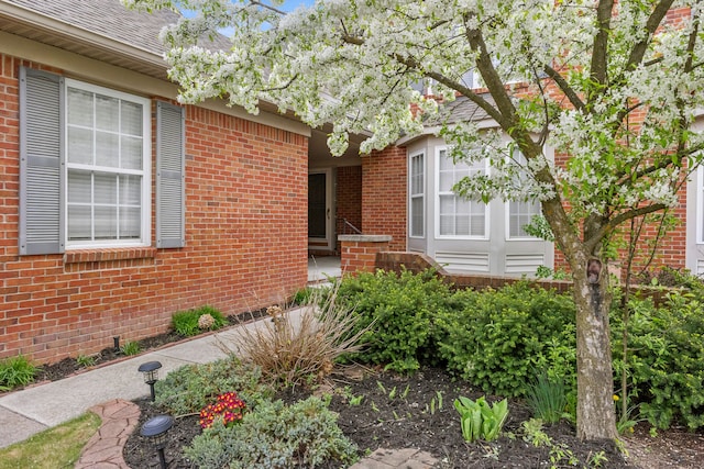 doorway to property featuring brick siding and roof with shingles