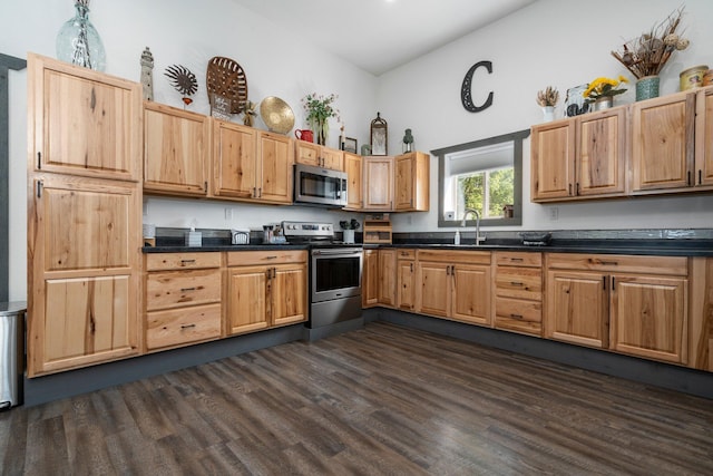 kitchen with dark countertops, appliances with stainless steel finishes, lofted ceiling, and dark wood-type flooring