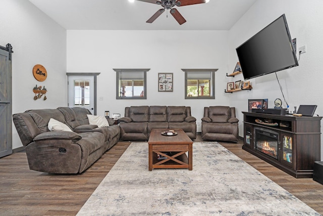 living room with a ceiling fan, a barn door, plenty of natural light, and wood finished floors