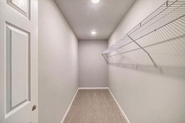 spacious closet with carpet flooring