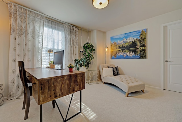 office space featuring baseboards and carpet