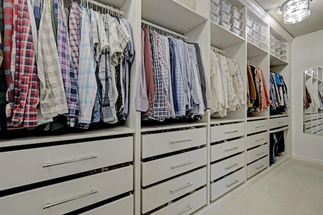 spacious closet with light carpet
