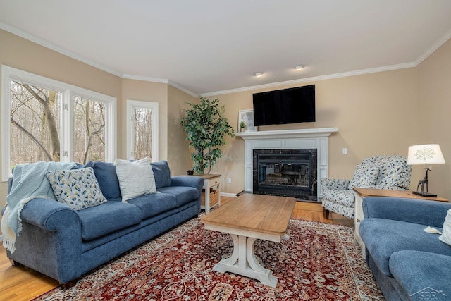 living area featuring crown molding, baseboards, a glass covered fireplace, and wood finished floors