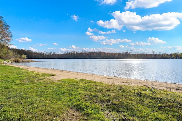 water view with a view of trees