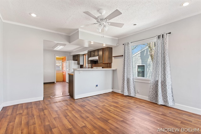 kitchen with ornamental molding, a peninsula, wood finished floors, a textured ceiling, and under cabinet range hood