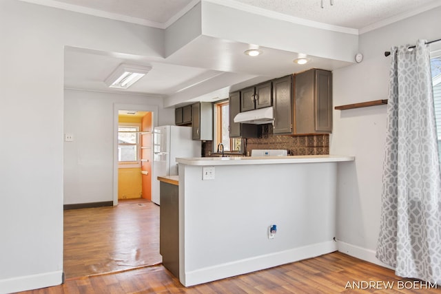 kitchen with backsplash, light countertops, a peninsula, under cabinet range hood, and light wood-style flooring