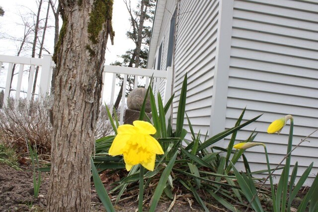 2689 SW Ingersoll Rd, Fife Lake, MI 49633