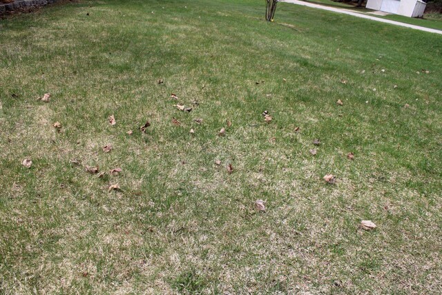 2689 SW Ingersoll Rd, Fife Lake, MI 49633