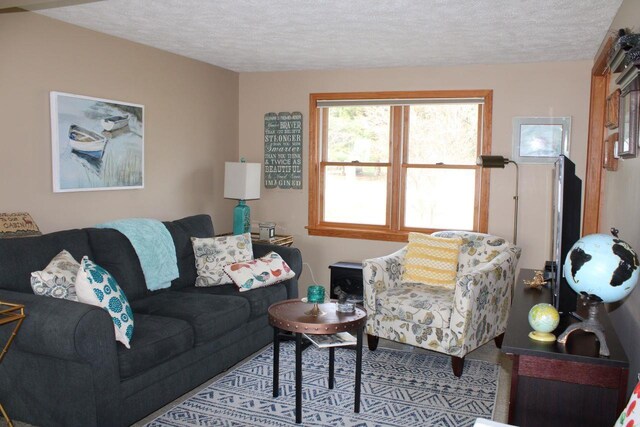 2689 SW Ingersoll Rd, Fife Lake, MI 49633