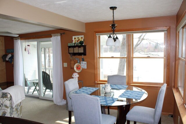 2689 SW Ingersoll Rd, Fife Lake, MI 49633