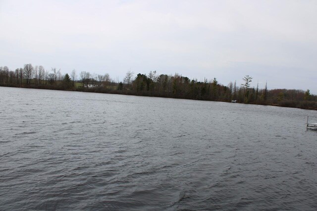 2689 SW Ingersoll Rd, Fife Lake, MI 49633