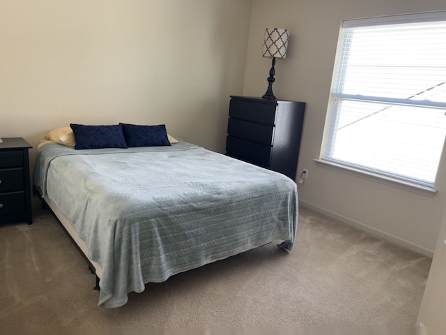 1082 Paddock Dr Unit 78, South Lyon, MI 48178 - bedroom with baseboards and light colored carpet
