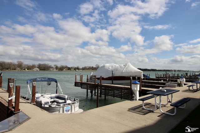 dock area with a water view