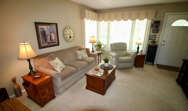 living area featuring carpet flooring